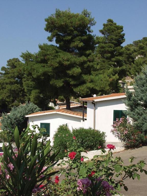 Villaggio Club Baia Di Paradiso Vieste Pokój zdjęcie
